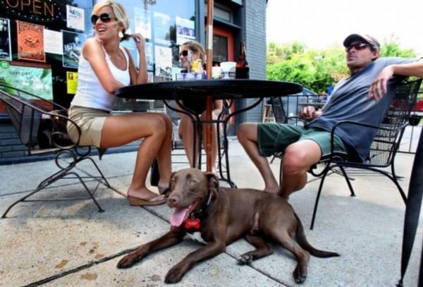 Best Dog Friendly Restaurants in Wilmington