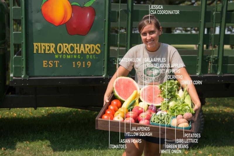How to Eat Fresh and Local this Summer at ResideBPG: Sign Up for Fifer’s Delmarva Box CSA Program