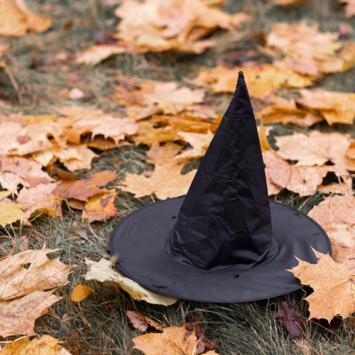 A witch hat costume sitting on the grass surrounded by leaves, for halloween in Wilmington Delaware